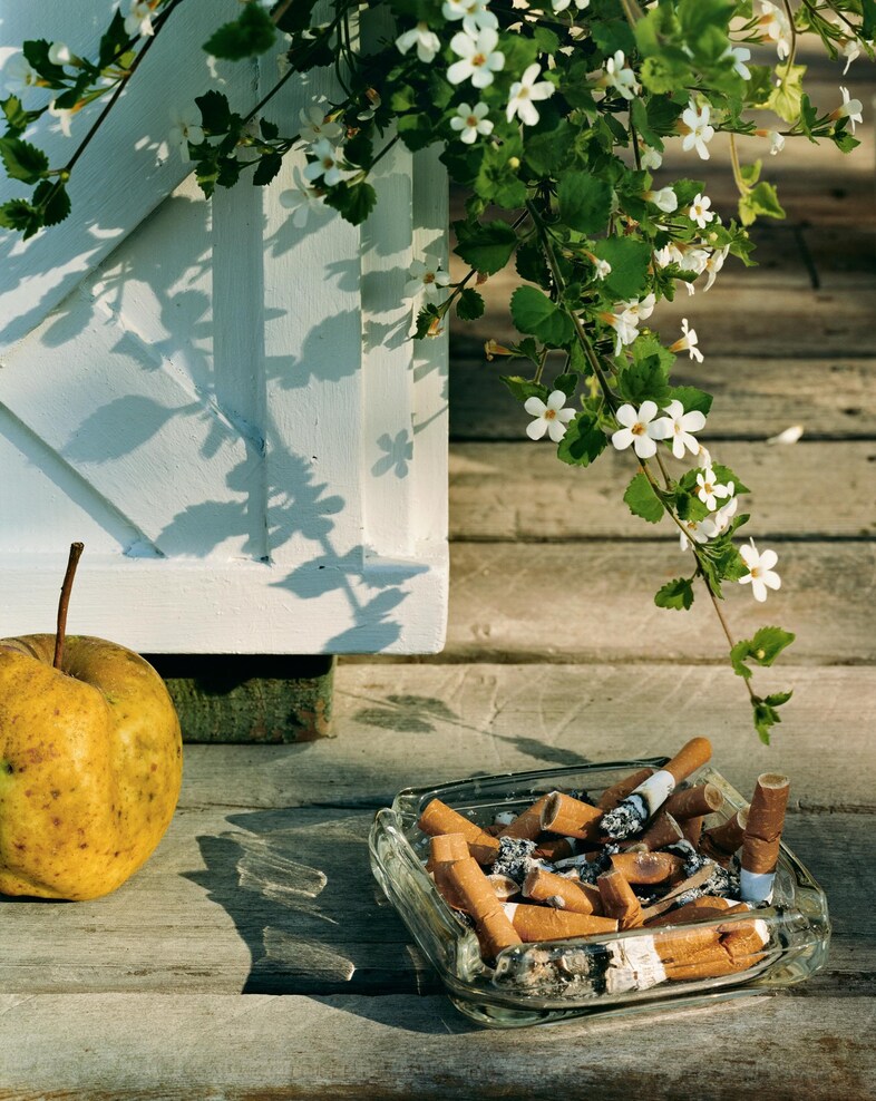 Neighbors by Roe Ethridge