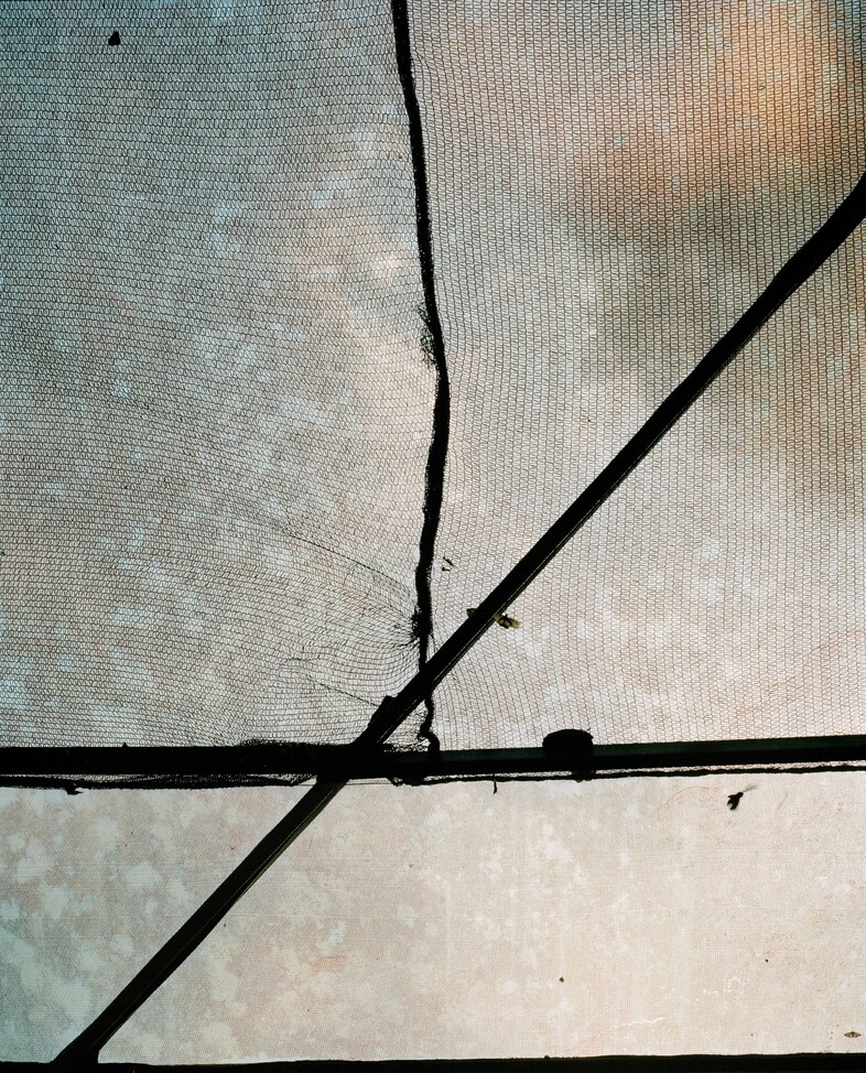 joss-mckinley-the-trap