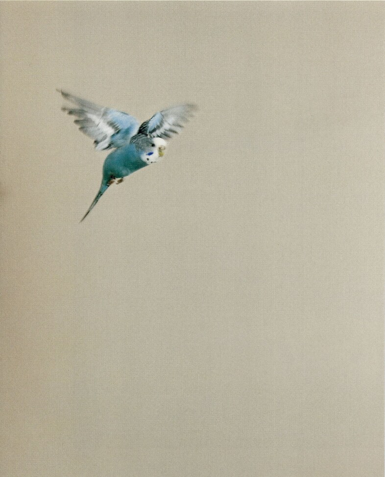 Issue-70-DandC-Coordinates------------------------