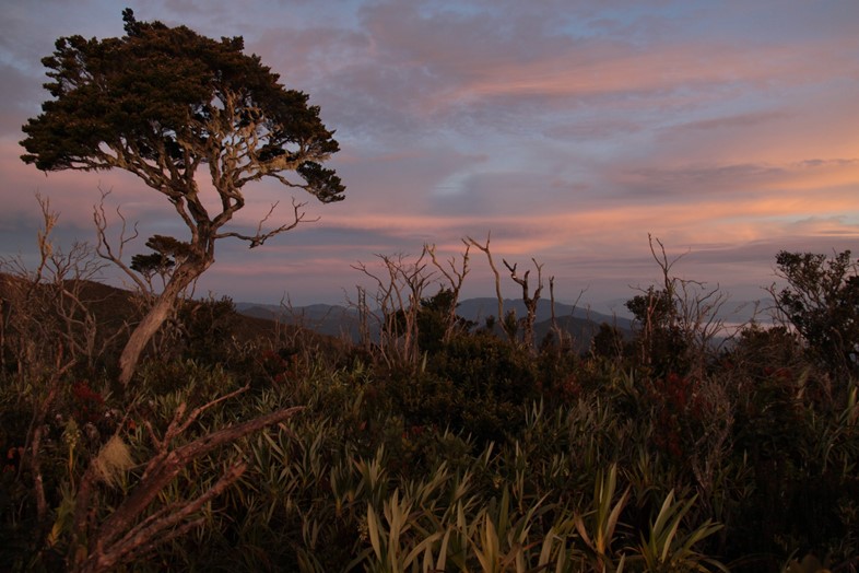 Sunrises_-_Mount_Leuser_National_Park