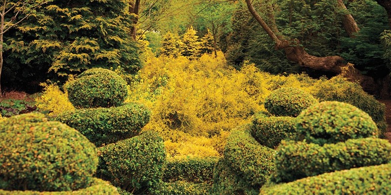 Pages-106-107-Yellow-Garden