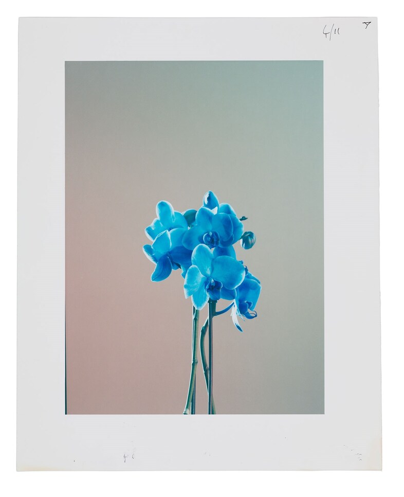 161117_FlowerBookPolaroids97693