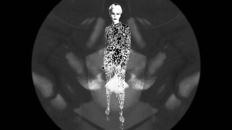 Daphne_Guinness_Talking_to_Yourself_video_screensh