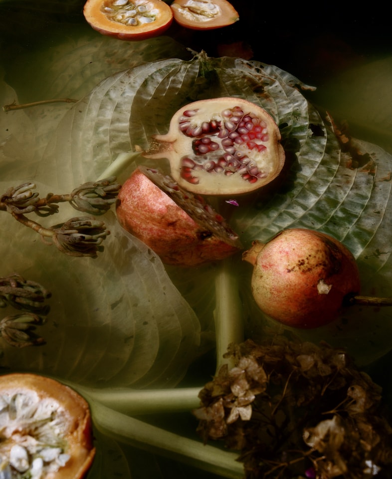 Dark Matter_2, pomegranate, 2016