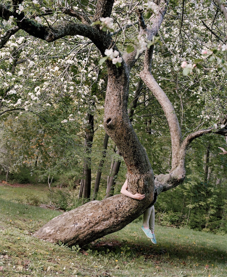 Riding-the-apple-tree,-2016