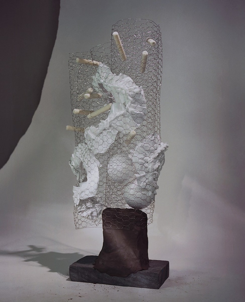 MarieValognes_x_ROBERTS _ WOOD 01