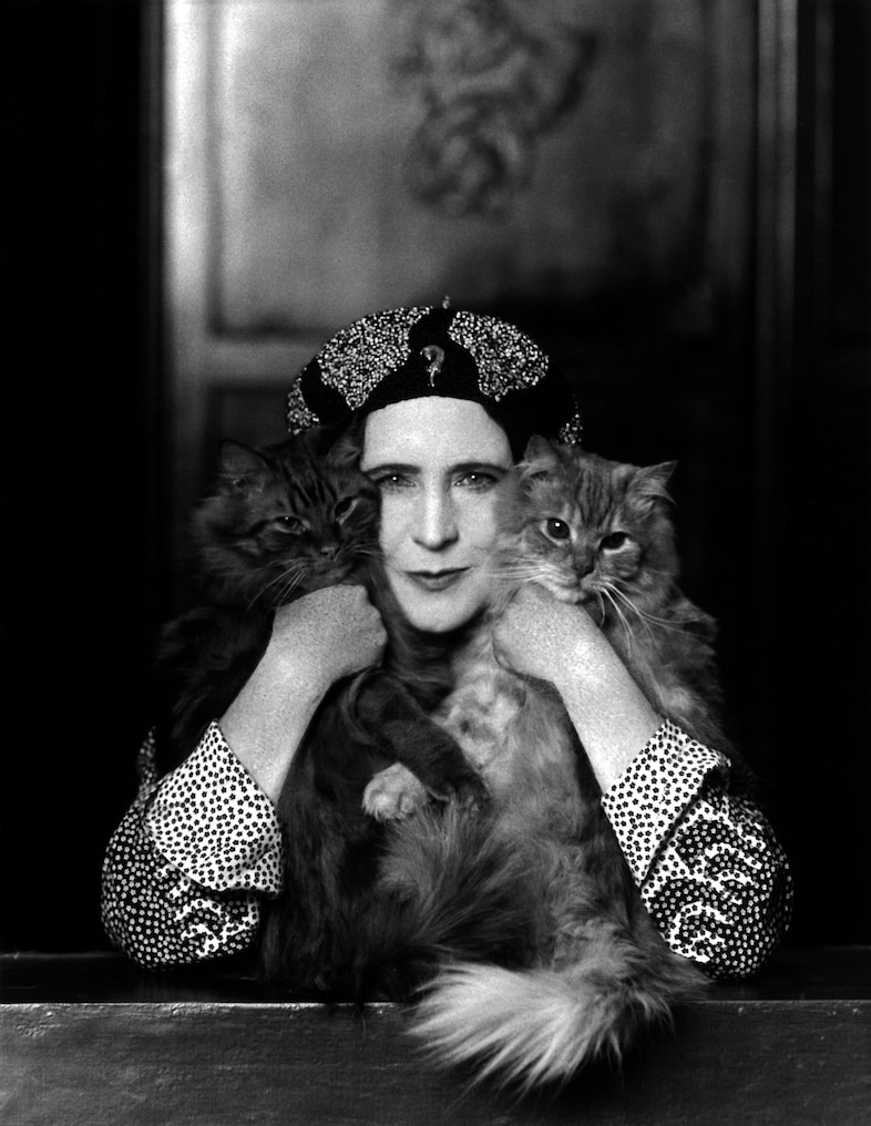 Elinor Glyn with her two cats Candide and Zadig, p