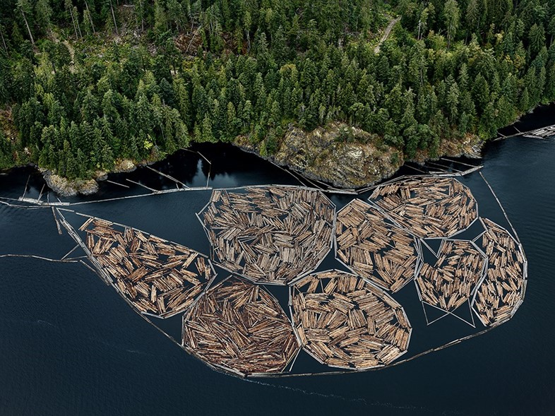 Log Booms #1, Vancouver Island, British Columbia, 
