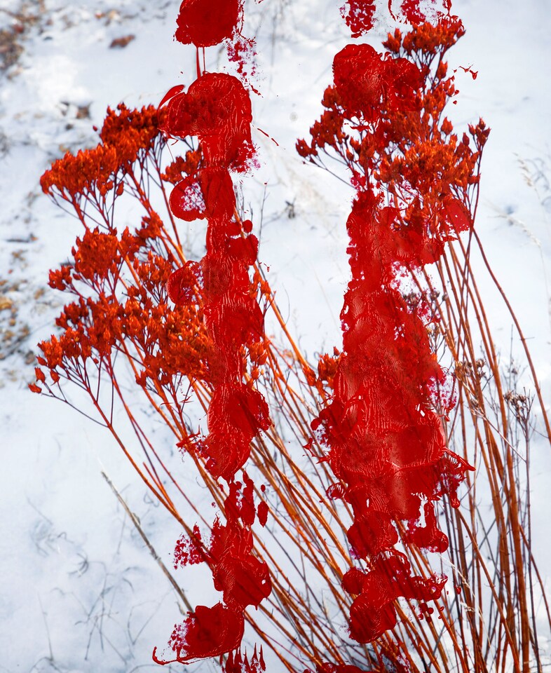 unseensights_00009
