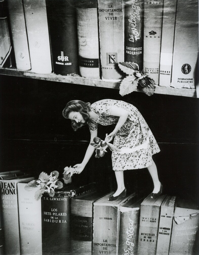 Grete Stern, Un sueno de frutas