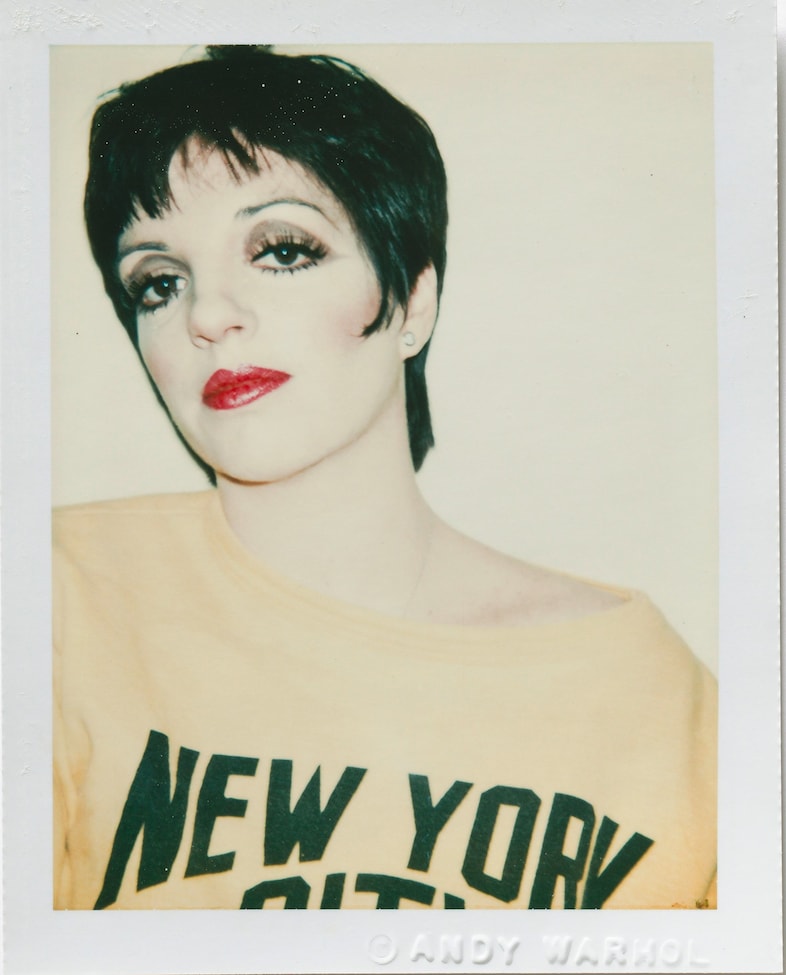 Andy-Warhol,-Liza-Minelli,-1977,-Polacolor-Type-10
