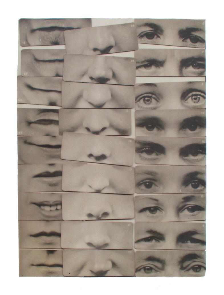 Rachel Libeskind_Desire to collect, 2019