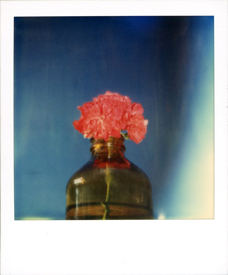 Robby Müller Polaroids Cinematographer Wim Wenders 8