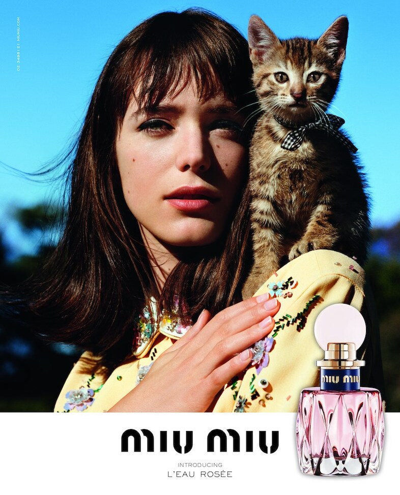 Miu Miu Givenchy Gucci Stella McCartney Cats in Fashion
