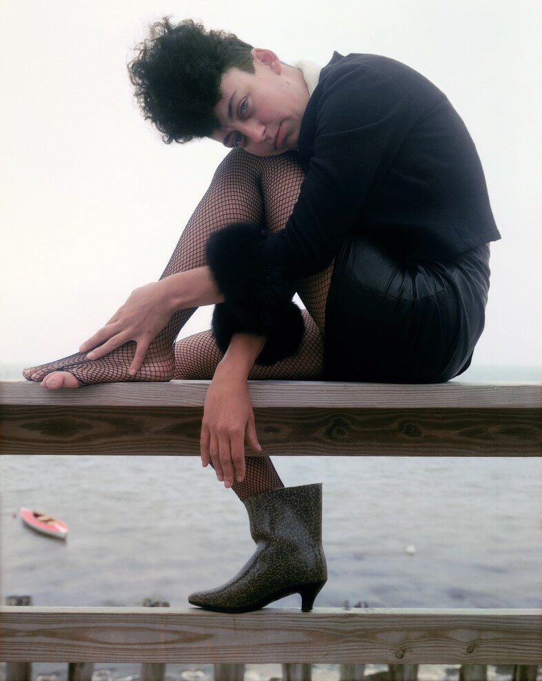 Joel Meyerowitz Provincetown Aperture interview