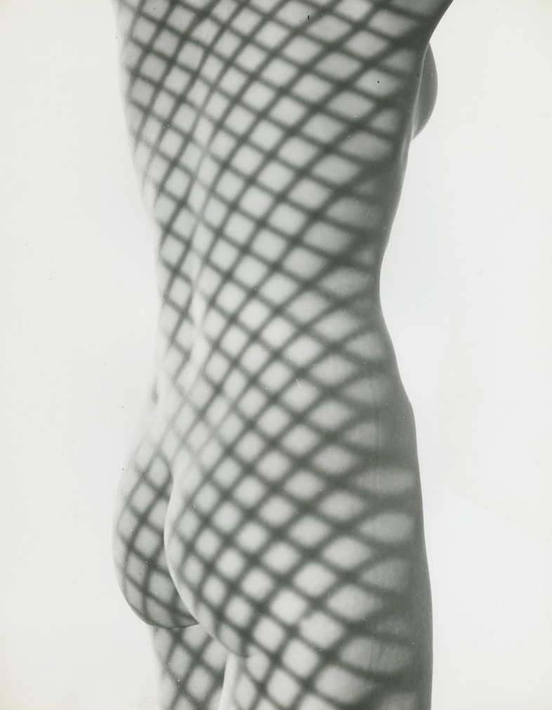 Erwin Blumenfeld _ Nude with Screen Shadow, NY, 19