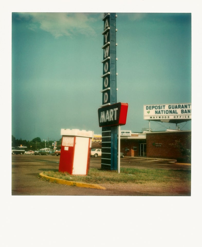 Polaroids by William Eggleston new book Steidl