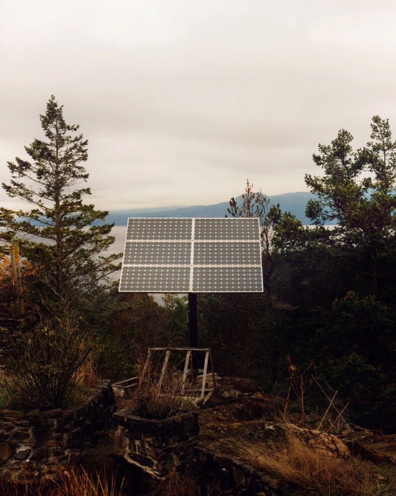 Lee Whittaker Stella McCartney We Are the Weather