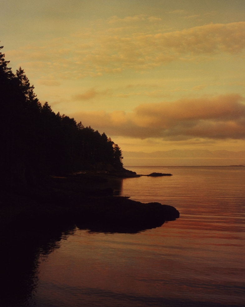 Lee Whittaker Stella McCartney We Are the Weather