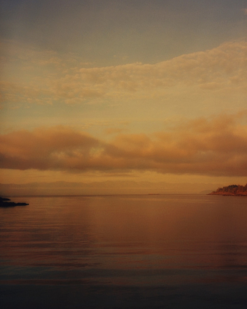 Lee Whittaker Stella McCartney We Are the Weather