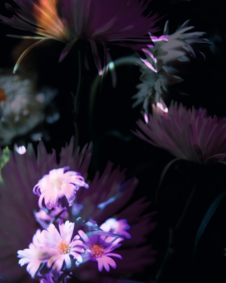 9. AN38_SP1_GarethMcConnell_09_150dpi