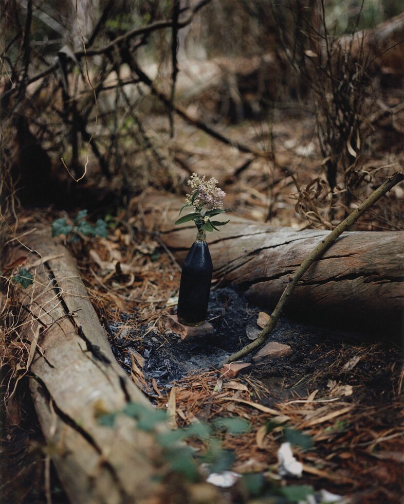 Gregory Halpern Magnum Square Print Sale Turning Points