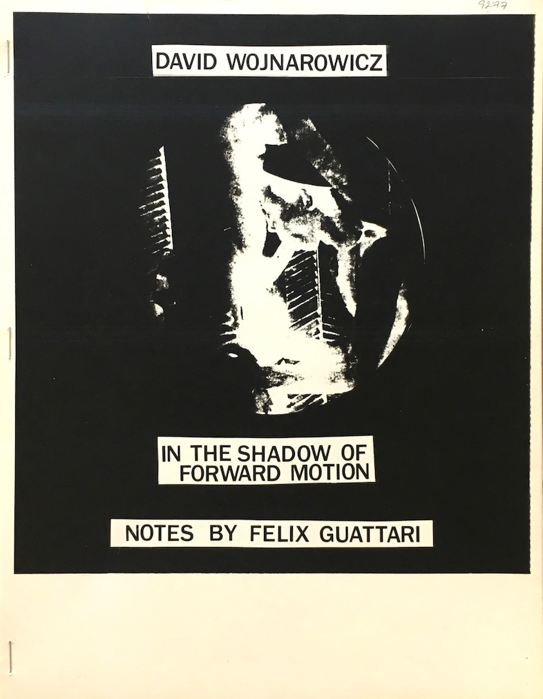 David Wojnarowicz, In the Shadow of Former Motion, 1989