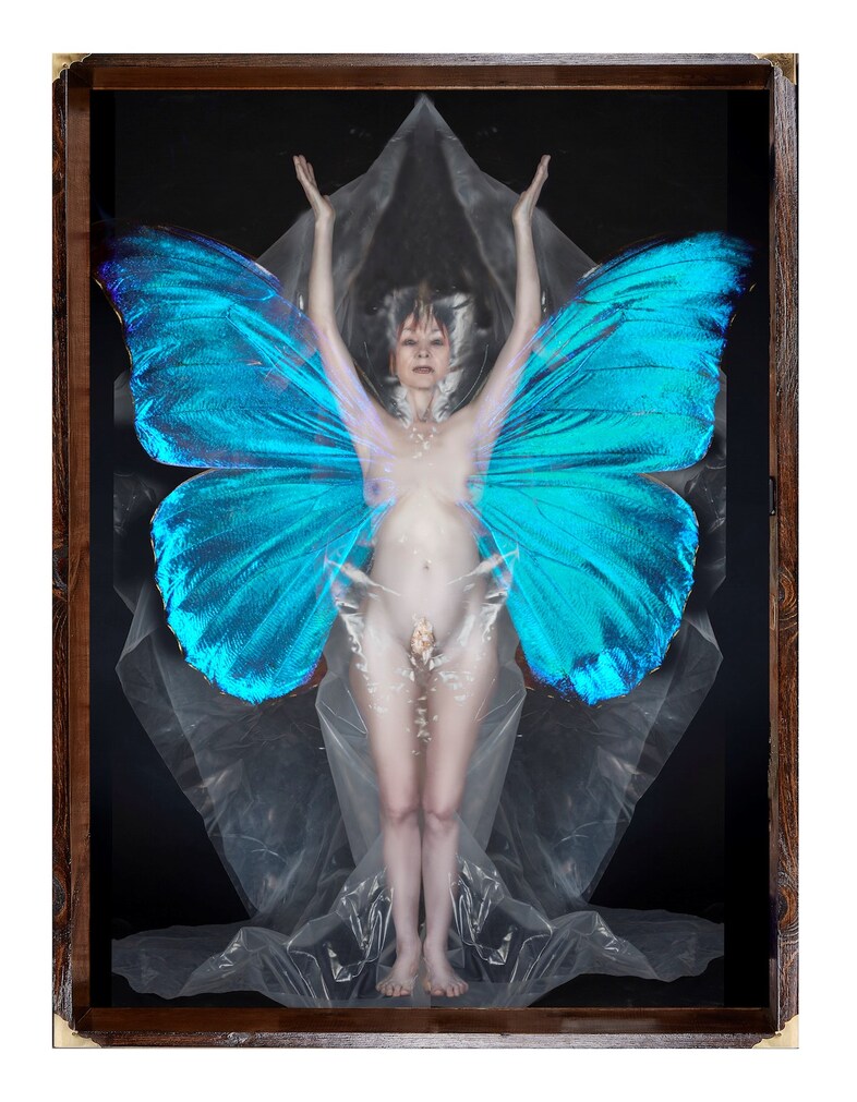 My Body in a Box Penny Slinger
