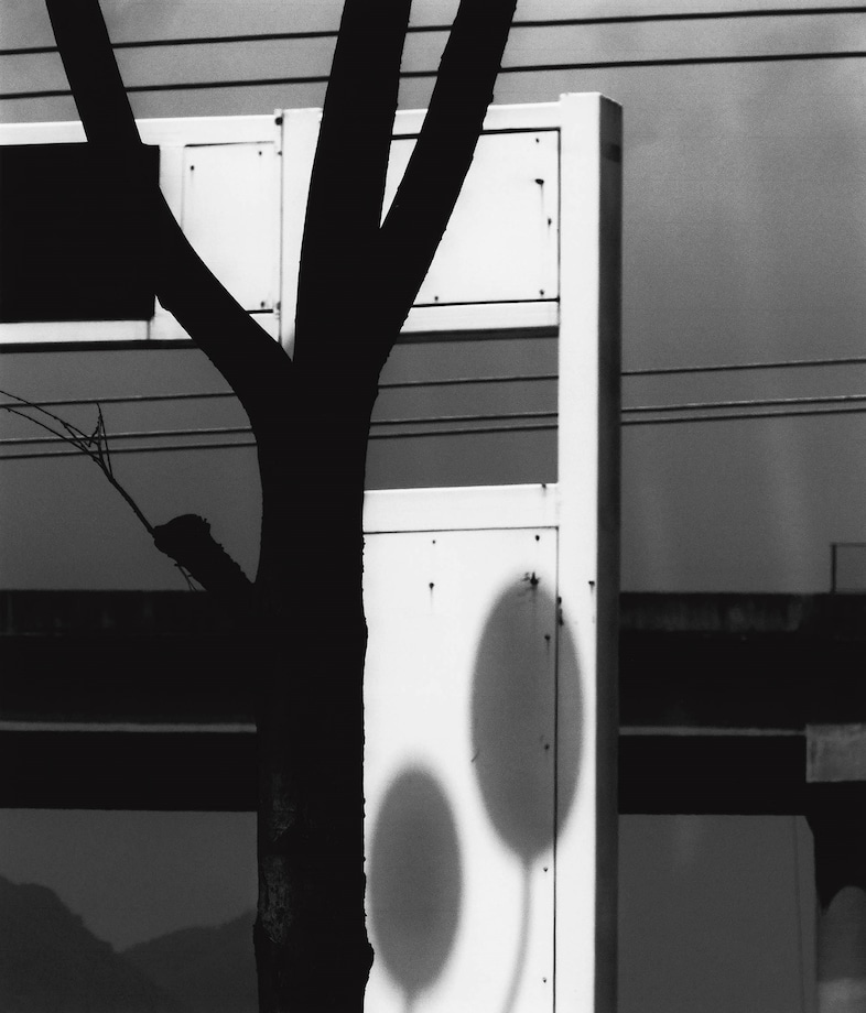 Jack Davison Song Flowers Marni Maio South China