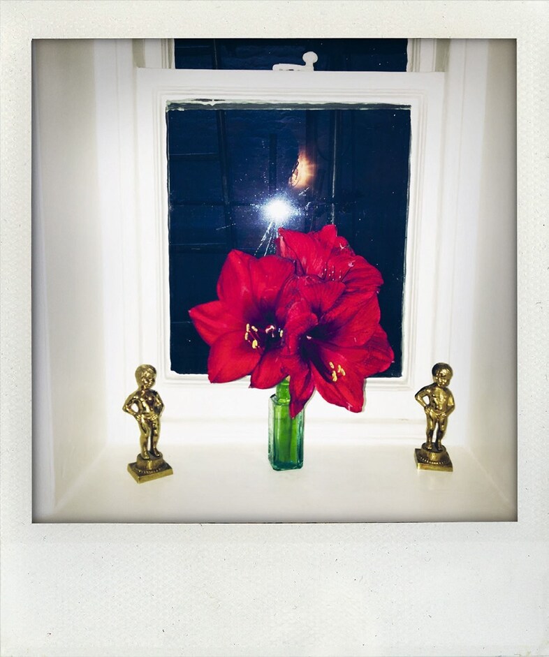 Polaroids by Nick Cave