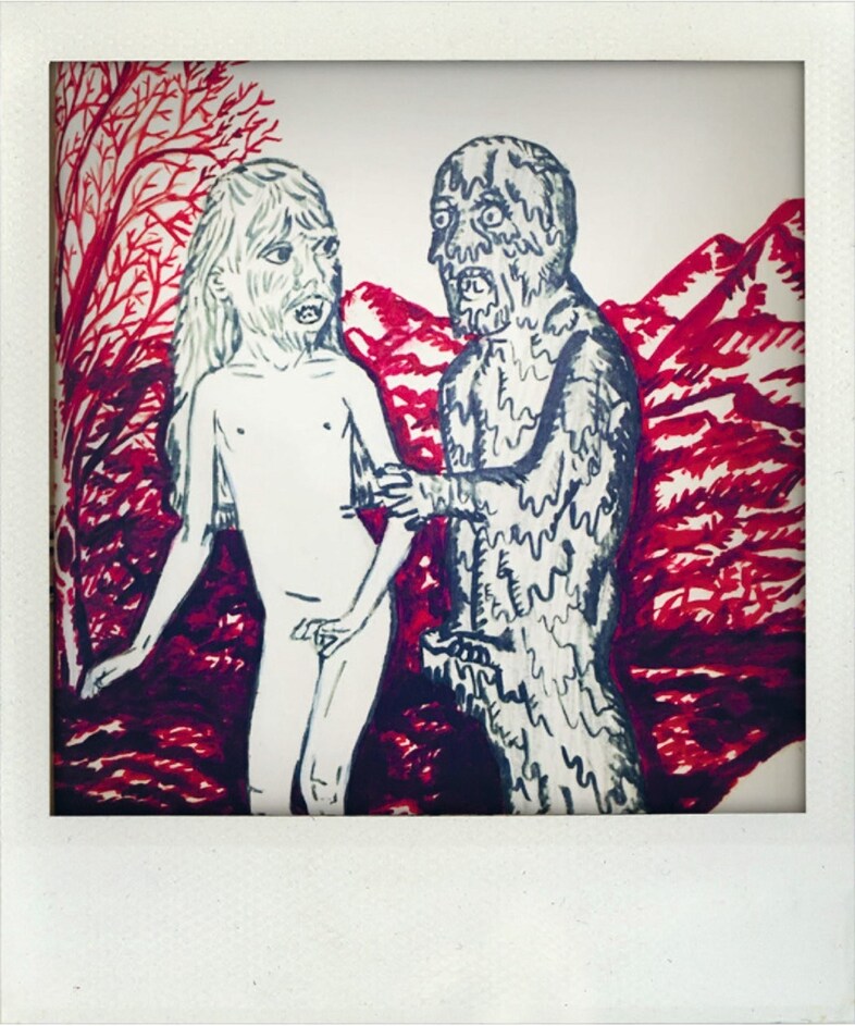 Polaroids by Nick Cave