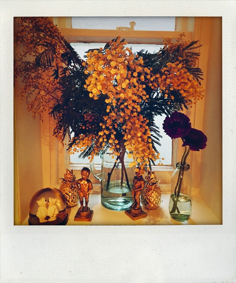 Polaroids by Nick Cave