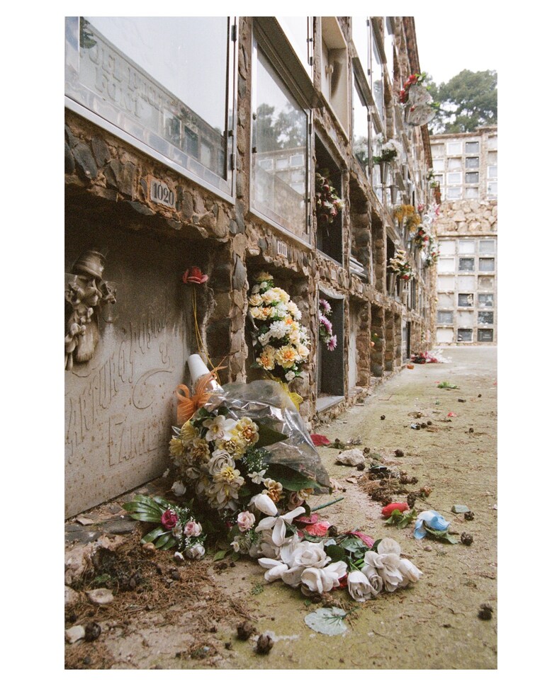 Danika Magdelena_Cementiri de Montju&#239;c, 2020