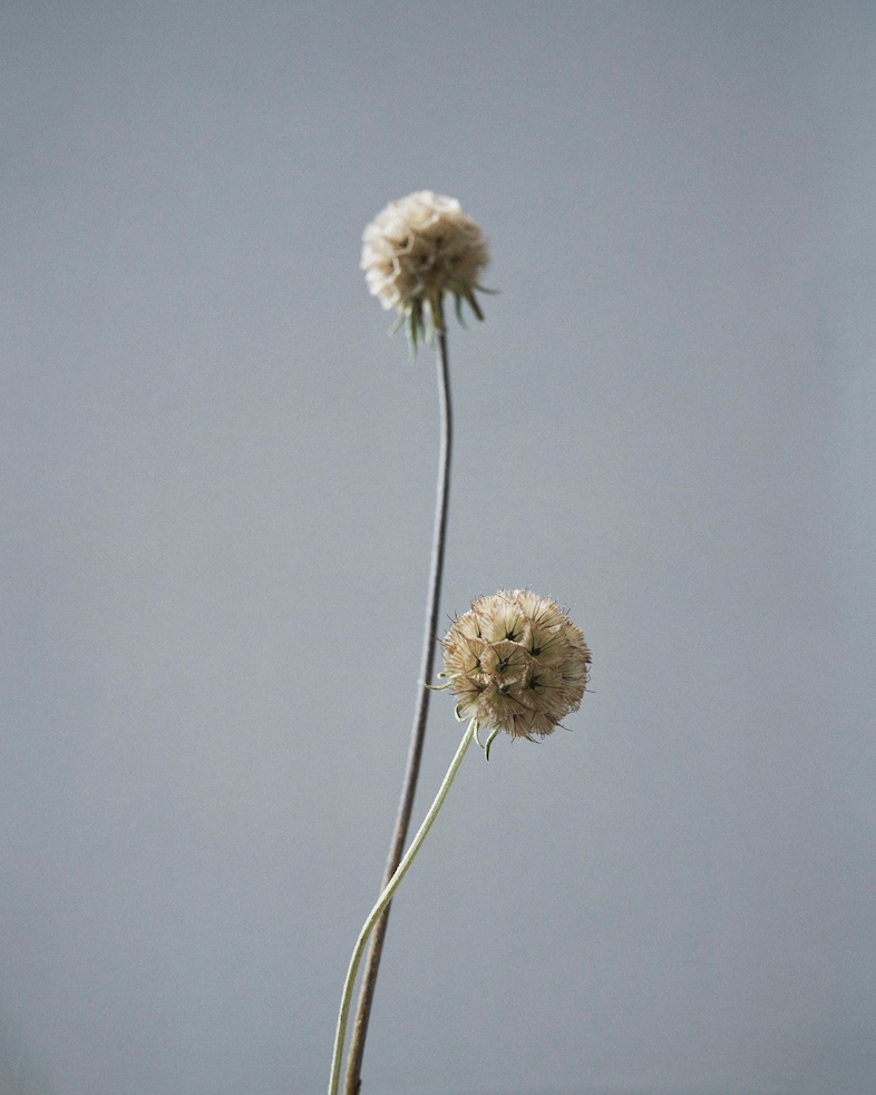 Stella McCartney Richard Jensen Lena Hardt 