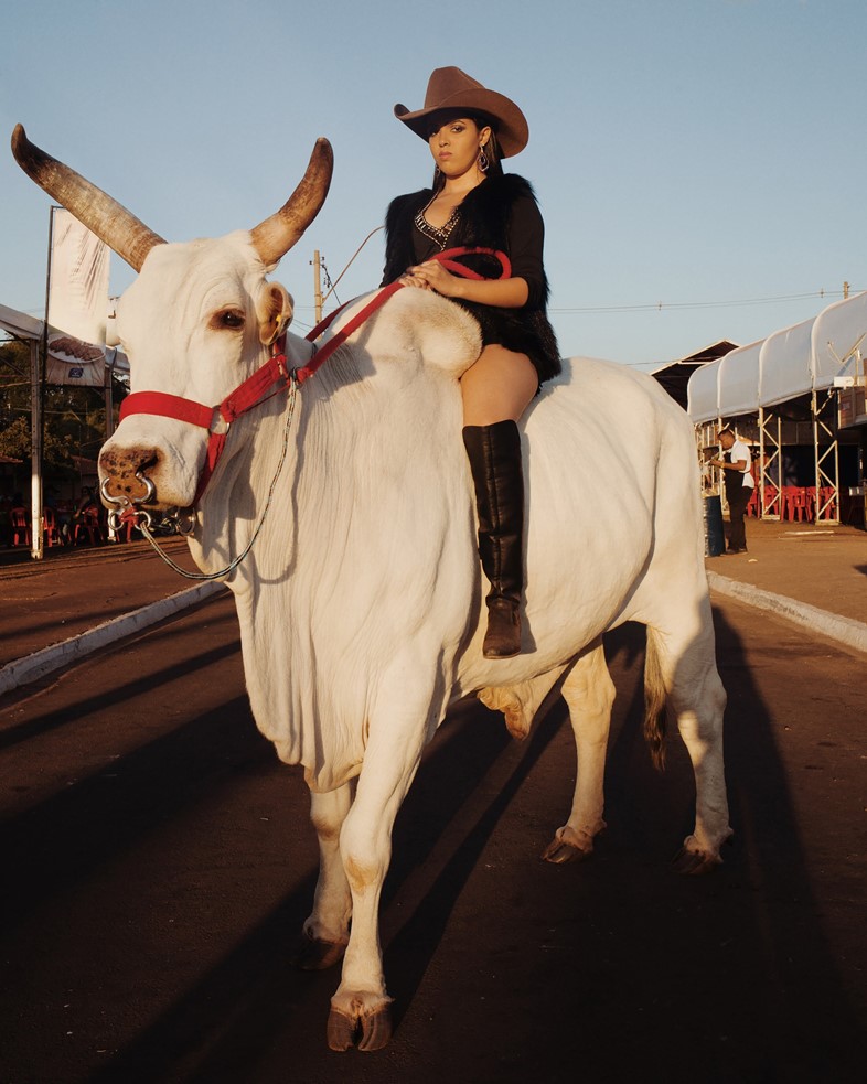 Luisa Dorr In the American South cowboy culture Brazil