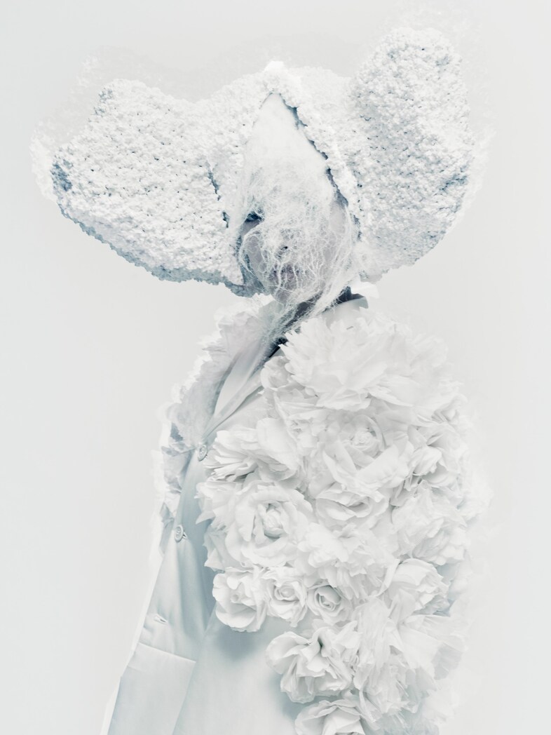 Paolo Roversi: Birds | AnOther