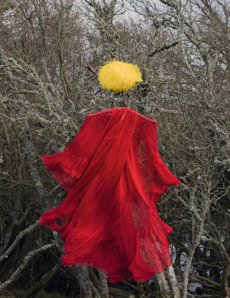 Scarecrow is Waving at  the Moon