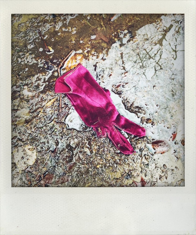 Little Book of Lost Gloves