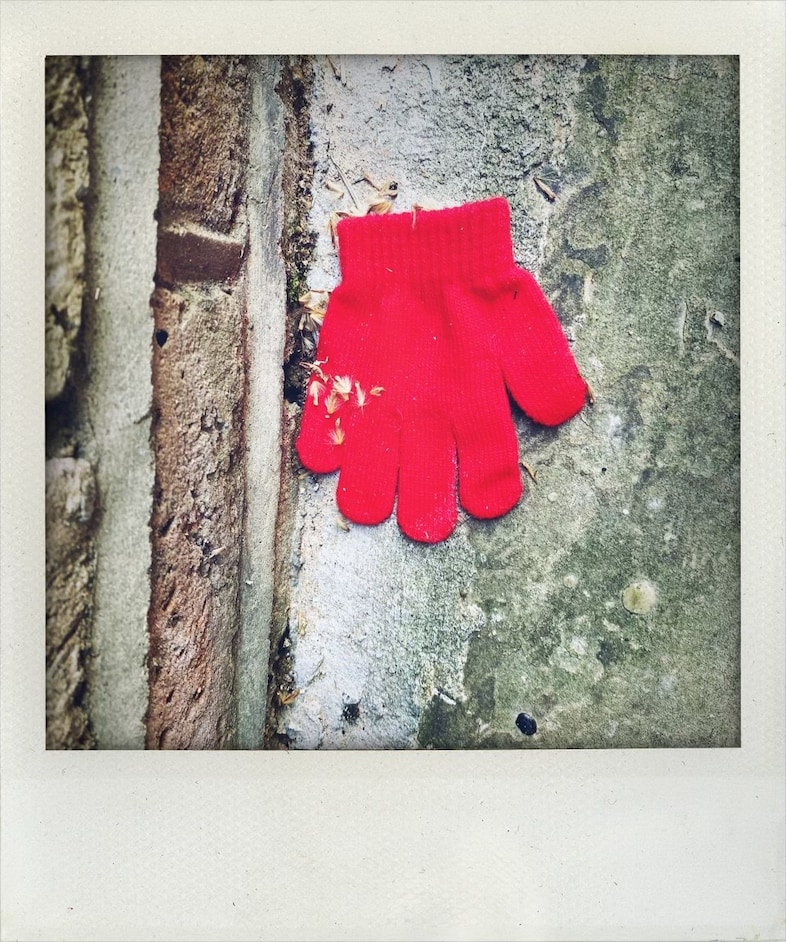 Little Book of Lost Gloves