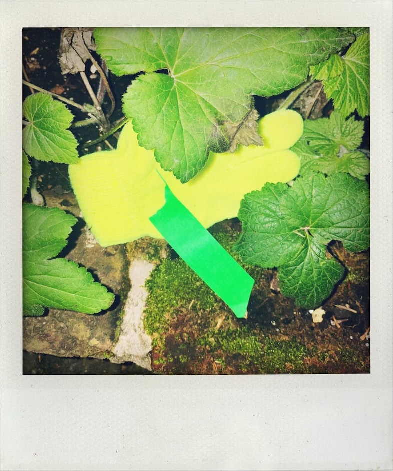 Little Book of Lost Gloves