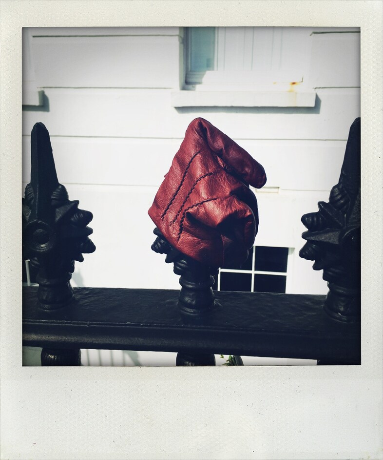 Little Book of Lost Gloves