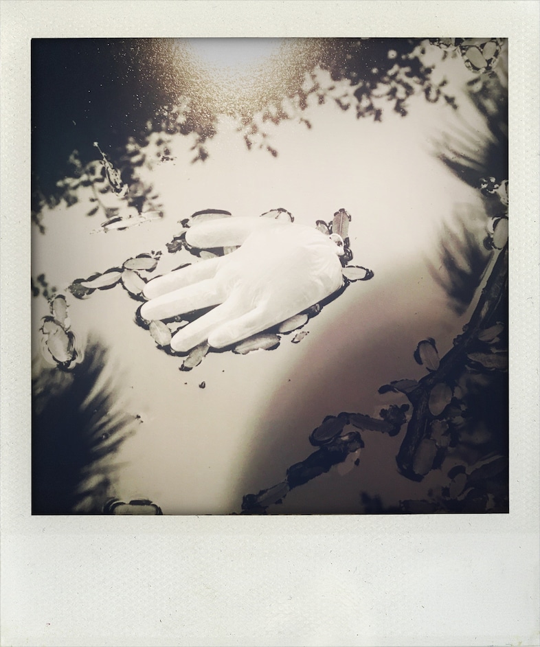 Little Book of Lost Gloves