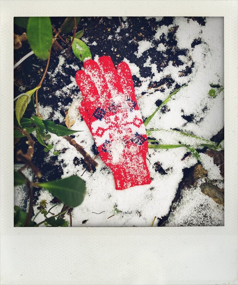 Little Book of Lost Gloves