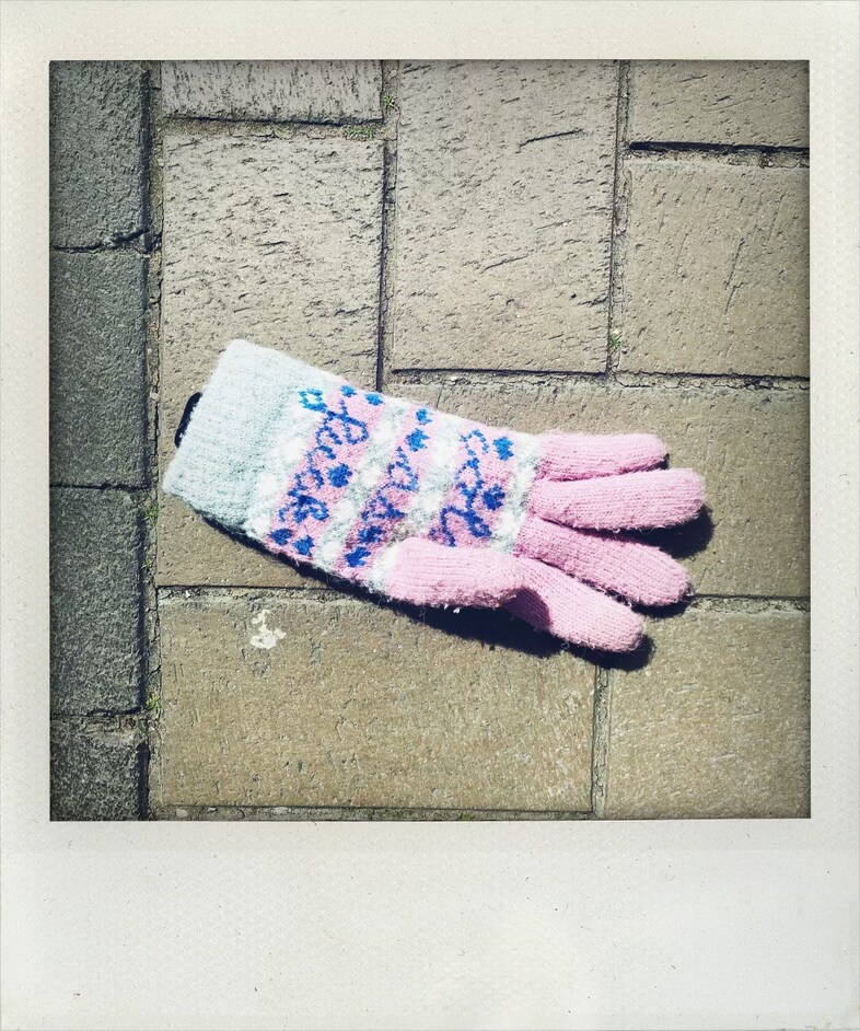 Little Book of Lost Gloves