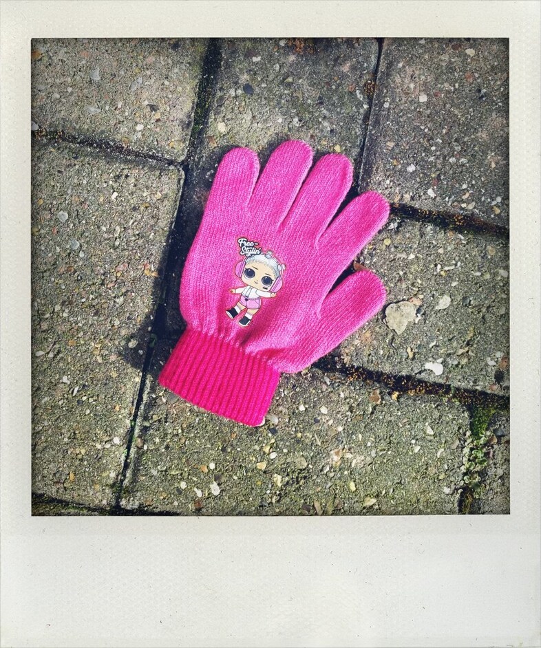 Little Book of Lost Gloves