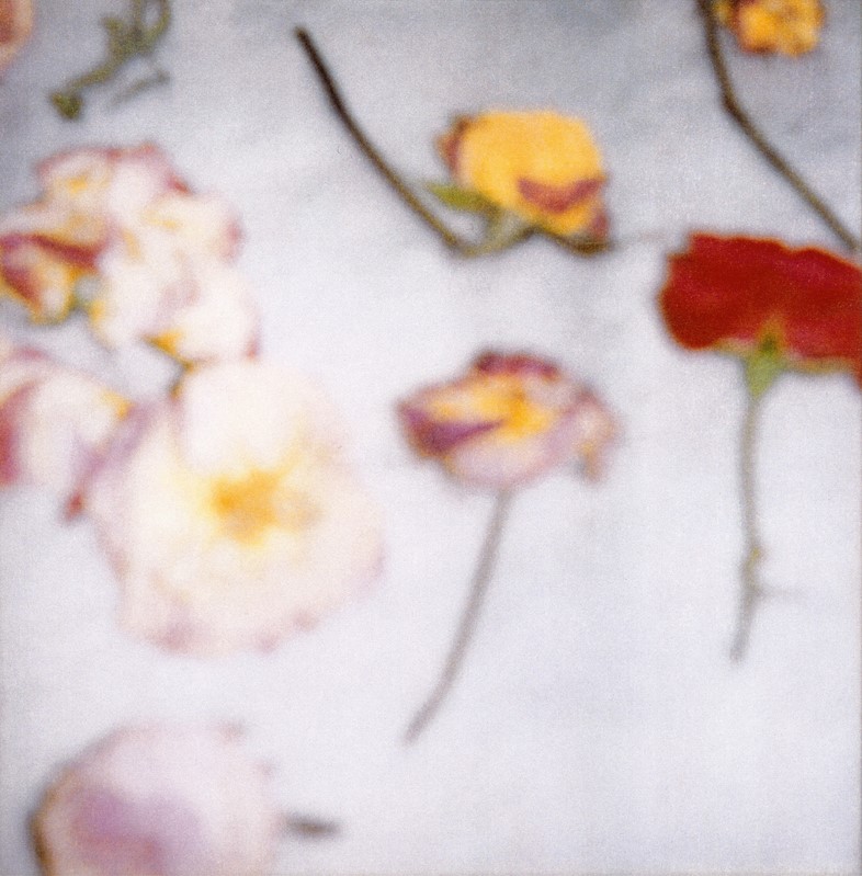 Light Flowers III, 2008