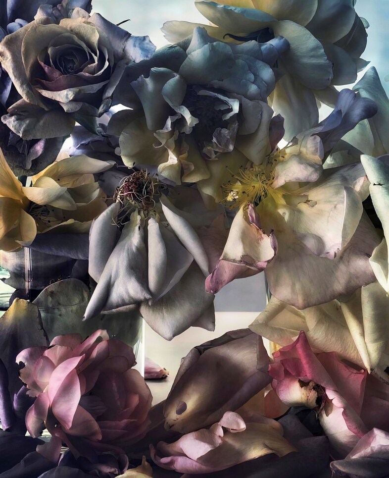 Nick Knight photographer Roses Albion Barn