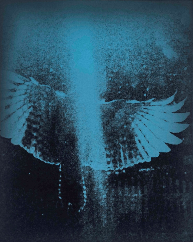 Wendy Small, _Blue Birds 11_, 2021 