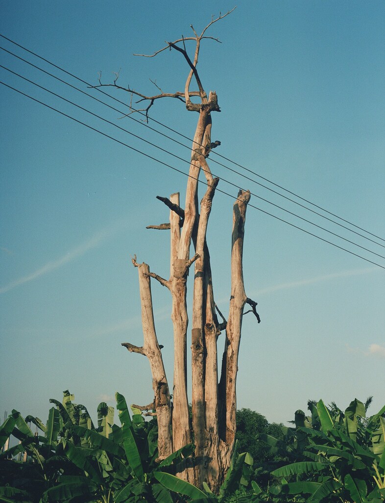 Eric Asamoah photographer The Day After Tomorrow series