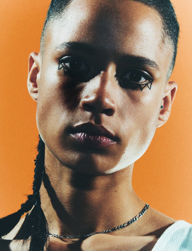 Music for Chameleons